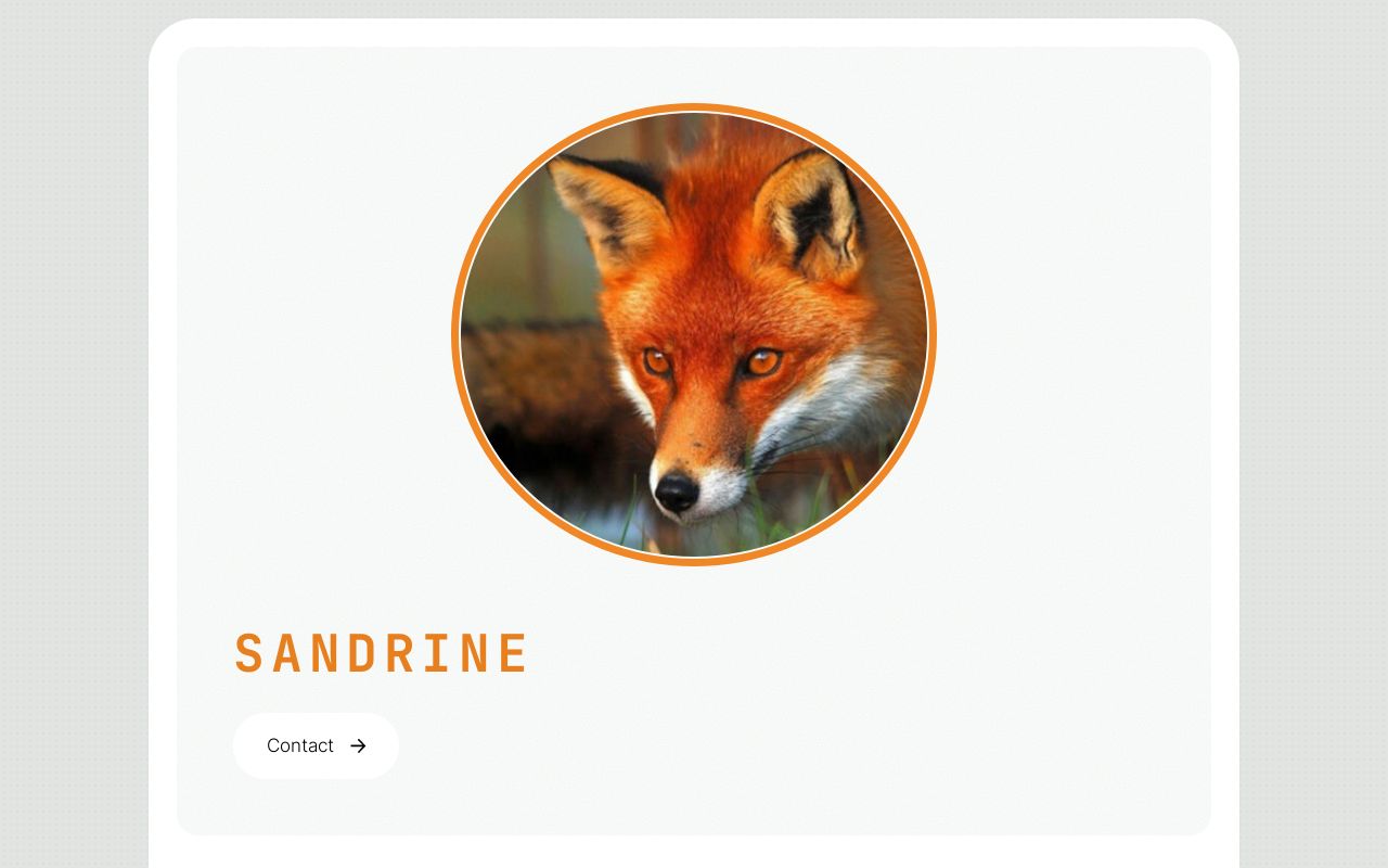 Carrd profile picture for @sandri